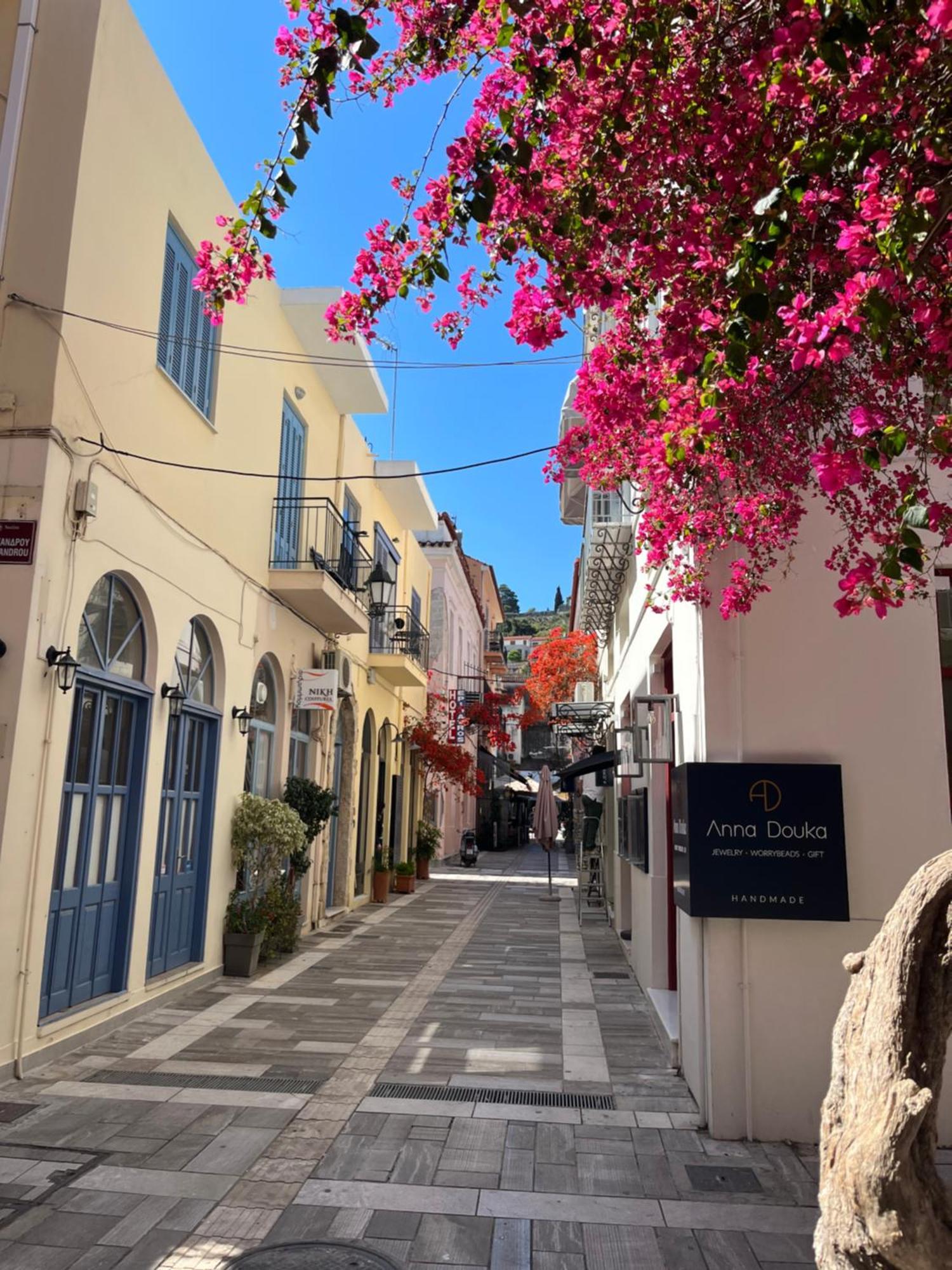 Villa Artemis Nafplion Tolón Extérieur photo